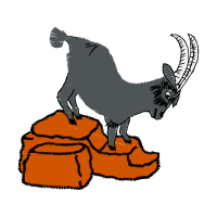 Drawing Wedding Drawing Wedding