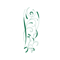 Drawing Wedding Drawing Wedding