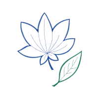 Drawing Wedding Drawing Wedding