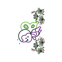 Drawing Wedding Drawing Wedding