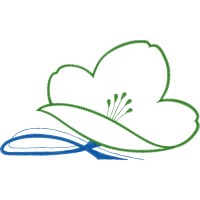 Drawing Wedding Drawing Wedding