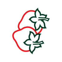 Drawing Wedding Drawing Wedding