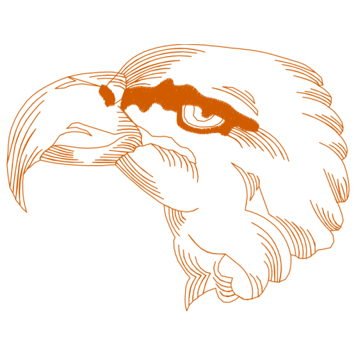 Drawing Wedding Drawing Wedding