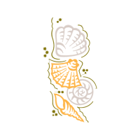 Drawing Wedding Drawing Wedding