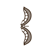 Drawing Wedding Drawing Wedding