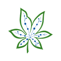 Drawing Wedding Drawing Wedding