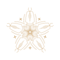 Drawing Wedding Drawing Wedding