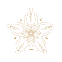 Drawing Wedding Drawing Wedding