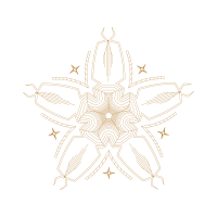 Drawing Wedding Drawing Wedding