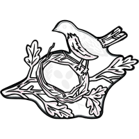 Drawing Wedding Drawing Wedding