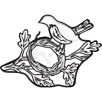 Drawing Wedding Drawing Wedding