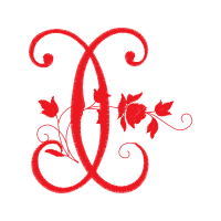 Dt Swiss Pr 1600 Spline 23 Wedding