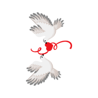 Falconiformes Wedding Falconiformes Wedding