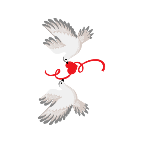 Falconiformes Wedding Falconiformes Wedding