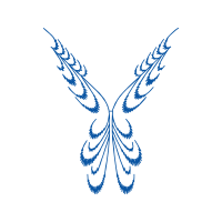 Falconiformes Wedding Falconiformes Wedding