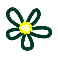 Flower Wedding Flower Wedding