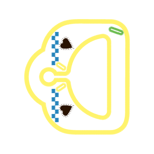 Graphic Wedding Graphic Wedding