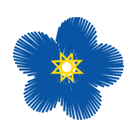 Graphic Wedding Graphic Wedding