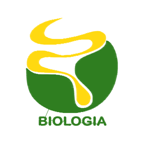 Graphic Wedding Graphic Wedding