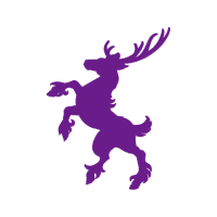 Graphic Wedding Graphic Wedding