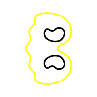 Heart Wedding Heart Wedding