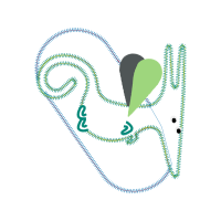 Heart Wedding Heart Wedding