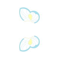 Heart Wedding Heart Wedding