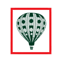 Hot Air Balloon Wedding