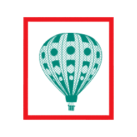 Hot Air Balloon Wedding