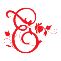 Illustration Wedding