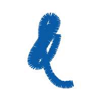 Illustration Wedding