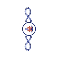 Illustration Wedding