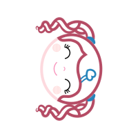 Illustration Wedding