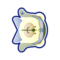 Illustration Wedding