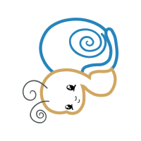 Illustration Wedding