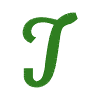 Illustration Wedding