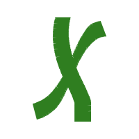 Illustration Wedding