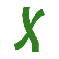 Illustration Wedding