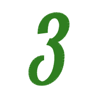 Illustration Wedding