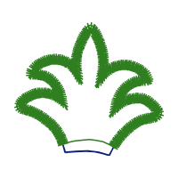 Illustration Wedding