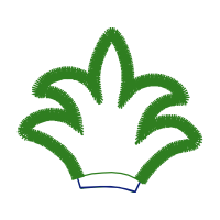 Illustration Wedding