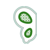 Illustration Wedding