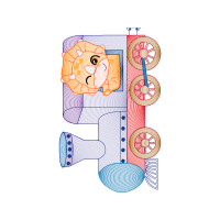 Illustration Wedding