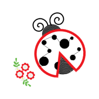 Illustration Wedding