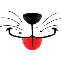 Illustration Wedding