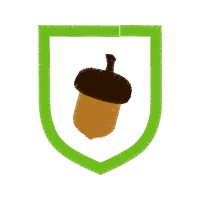 Illustration Wedding