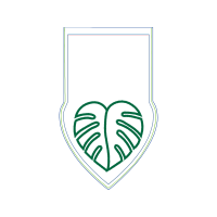 Illustration Wedding Illustration Wedding