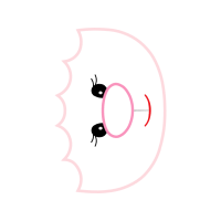 Illustration Wedding