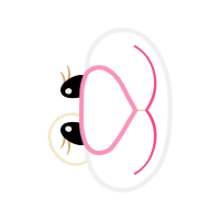 Illustration Wedding