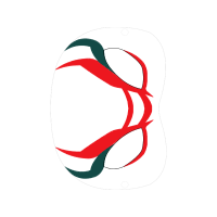 Illustration Wedding